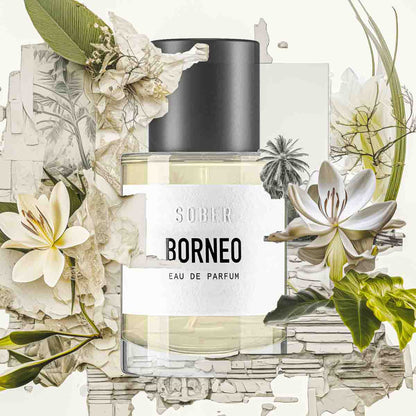 SOBER Eau de parfum - BORNEO